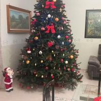 Albero di Natale altezza 3,2 m Altezza Ecologico