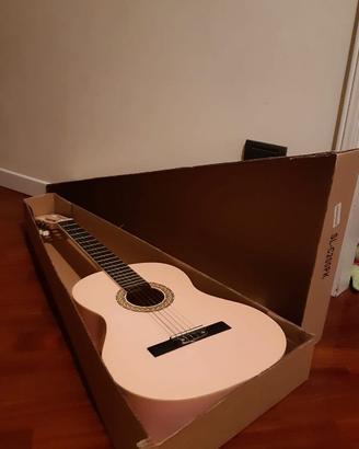 Chitarra Stealton