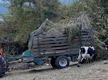 autocaricante mengele