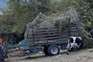 autocaricante mengele