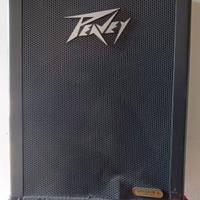 Casse acustiche professionali Peavey
