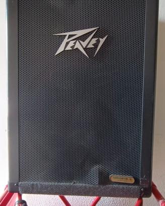 Casse acustiche professionali Peavey