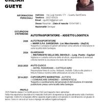 Autista autotrasportatore