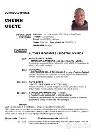 Autista autotrasportatore