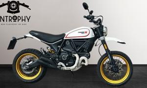 Ducati Scrambler desert 