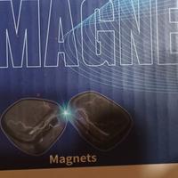 Gioco scacchi magnetici