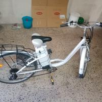 Bici elettrica 250w