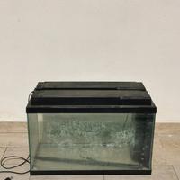 Acquario sera 60 lt