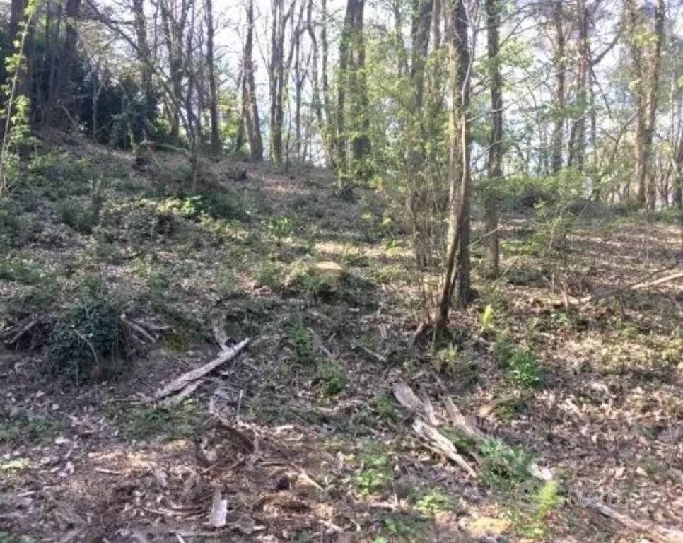 Immobile in asta di 4000 m² a Lipomo - Vista 2