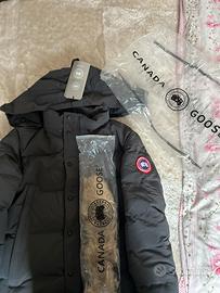 Canada goose