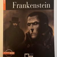 Frankenstein - Black cat