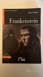 Frankenstein - Black cat
