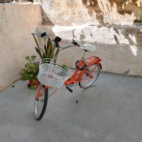 Bici pieghevole