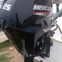 Mercury 25 Cv ELHPT 2023 guida a barra Trim