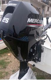 Mercury 25 Cv ELHPT 2023 guida a barra Trim