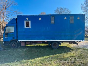 Van trasporto Cavalli