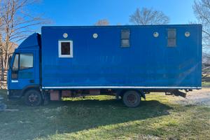 Van trasporto Cavalli