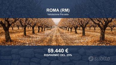 Immobile in asta di 30697 m² a Roma
