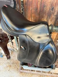 Sella equipe evolution