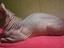 Immagine 3
