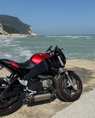 Buell xb12s