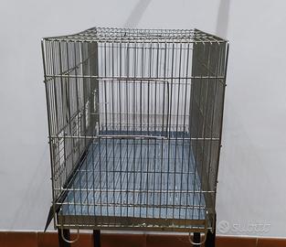 Canarini e gabbia