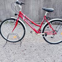 Due Biciclette nuove