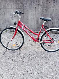 Due Biciclette nuove