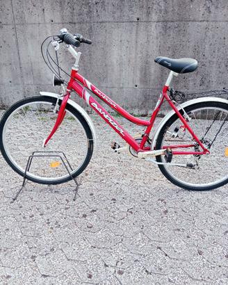 Due Biciclette nuove