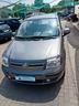 fiat-panda-1-2-dynamic