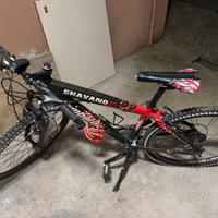 Bicicletta
