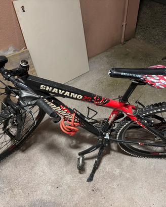Bicicletta