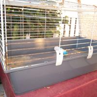 Gabbia coniglio nano.