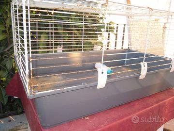 Gabbia coniglio nano.