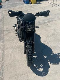 Benelli leoncino