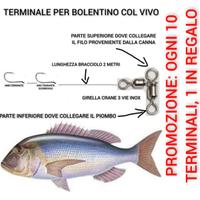 Barca terminale bolentino col vivo