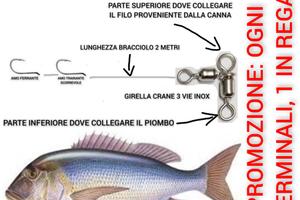 Barca terminale bolentino col vivo