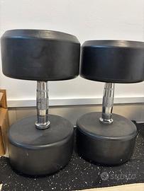 Manubri 35kg