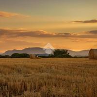 TERRENO A CASTANO PRIMO