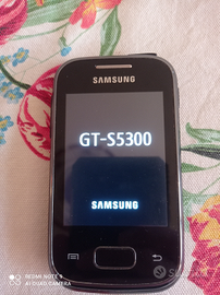 Samsung GT-S5300