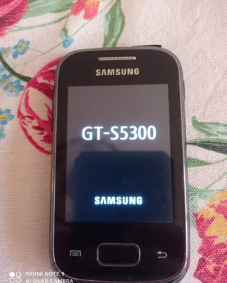 Samsung GT-S5300