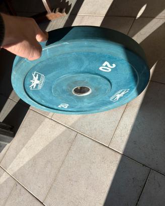 Bumper regolarmentari da 20kgx2 Leonardo