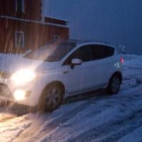 Pezzi ford kuga