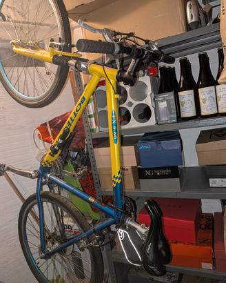 bici mtb