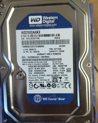 N. 5 Hard Disk Western Digital WD 250 GB