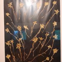 quadro con stelle alpine essiccate.