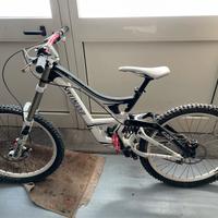 Demo 8 i specialized