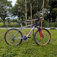 Bicicletta MTB Bandiziol