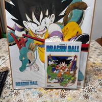Libro dragon ball con Litografia