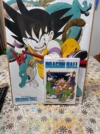 Libro dragon ball con Litografia